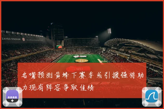名嘴预测黄蜂下赛季或引援强将助力现有阵容争取佳绩